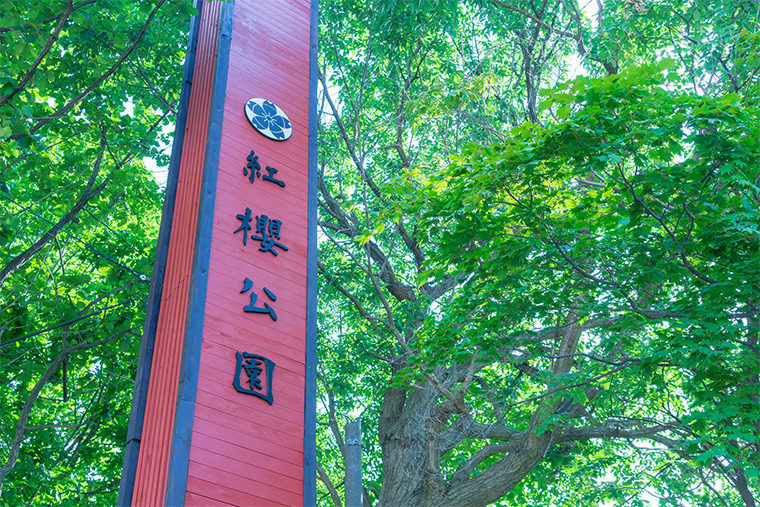 写真：紅櫻公園